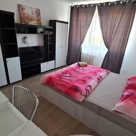 Garsoniera 30Mp Chrysflatty1 - Free Netflix Apartment อาราด ภายนอก รูปภาพ